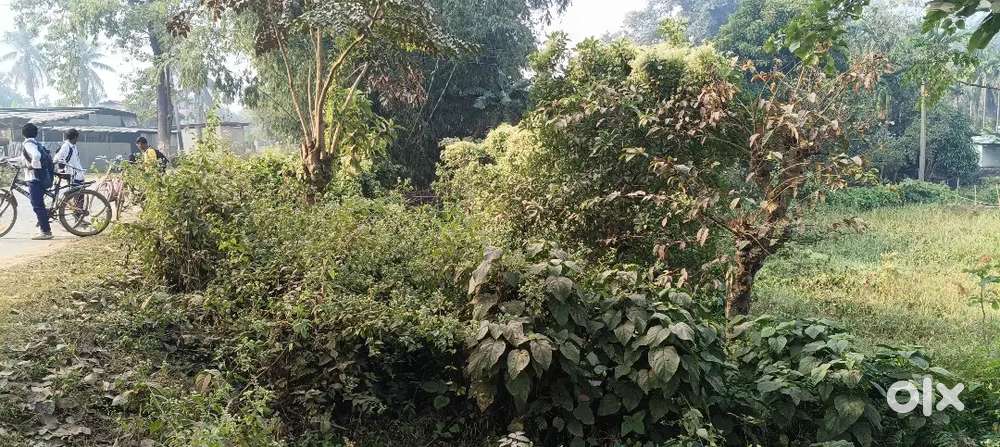 Land for sale, PWD main Roadside