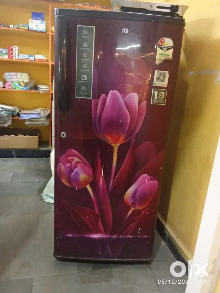 Frize in full condition