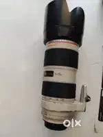 Canon 70-200mm ISii 2.8 or Canon 50mm 1.8