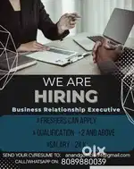 Business Relationship Executive