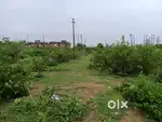 land for sale good for business, storage and rent
