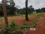 വെട്ടത്തുകവല 10 cent plot.2.50 .lakh .