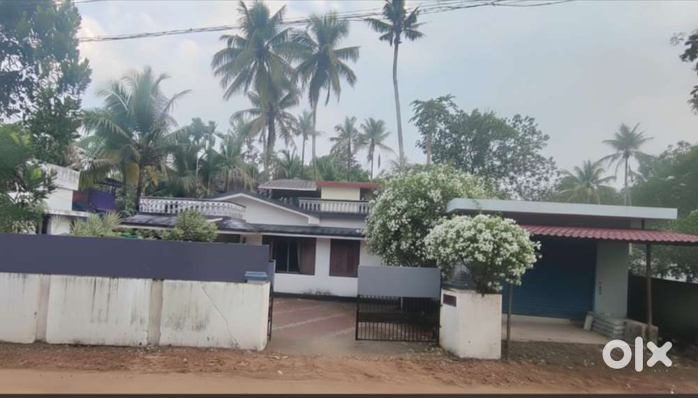 For Sale: 2 Houses + 1 Commercial Shop on a Single Plot – Near NH66, T