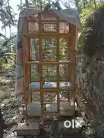 Big bids cage