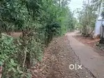 2.60 acre for sale near nehru college pampady main road