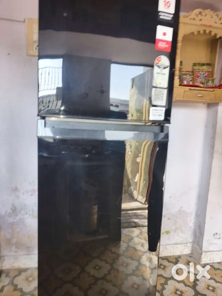 Tip top condition frezz