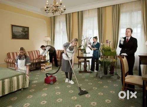 Fresher Ke Liye Hamare Pas Job Or Room Dono Available Hai