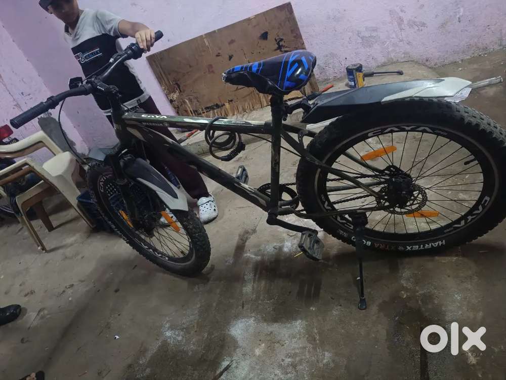 క్యాయా బ్రాండ్ న్యూ వెహికల్