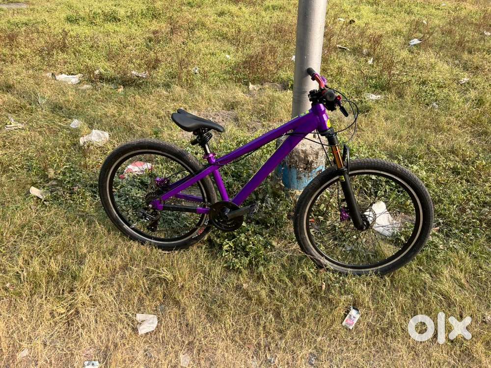 Boarse sun 6.0 just one day old cycle all parts are new with