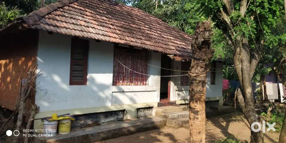 6 cent Plot, Old house