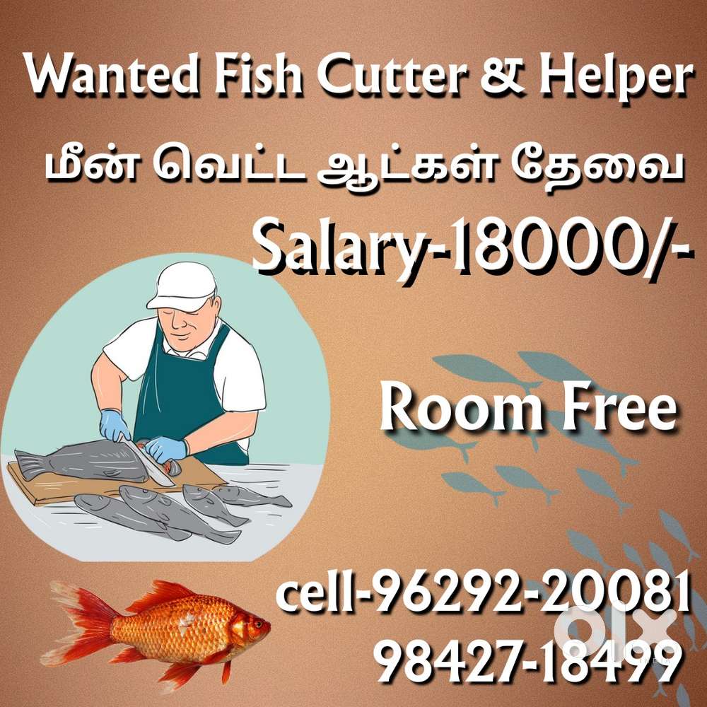 மீன் வெட்ட ஆட்கள் தேவை