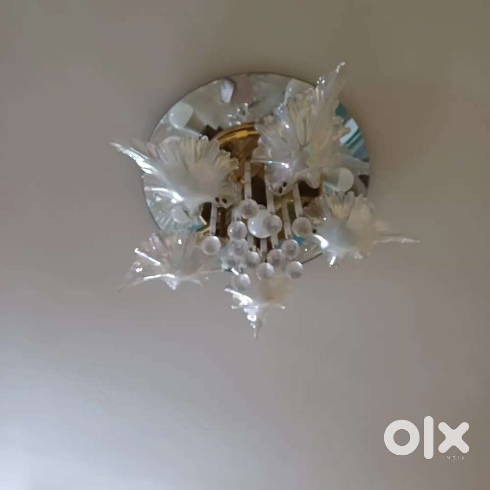 Hurry Up! Bring this Chandelier home.