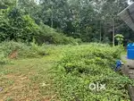 Pala - Ponkunnam Road ,  8 Cent Plot For Sale