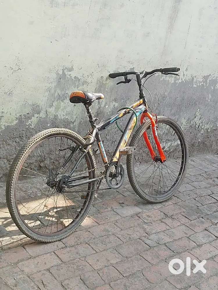 Only few months old