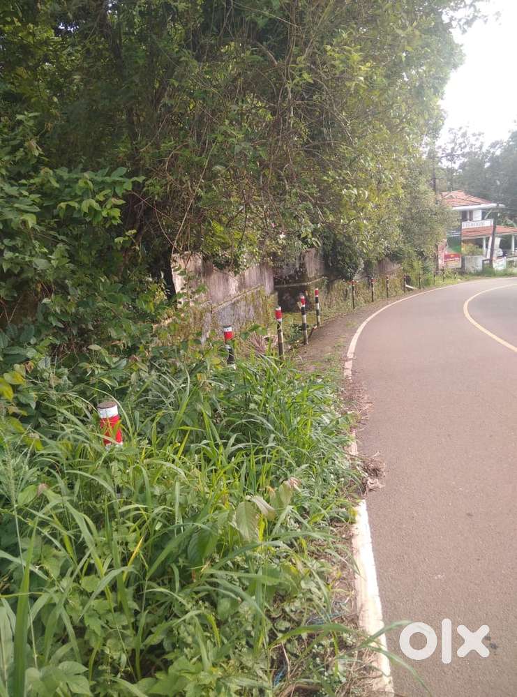 70 cent Plot for sale near dakshinamookambika, panachickadu, kottayam.