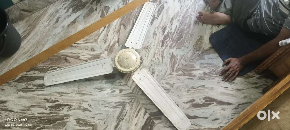 Orient ceiling fan