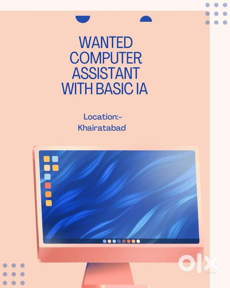 Wanted computer assistant