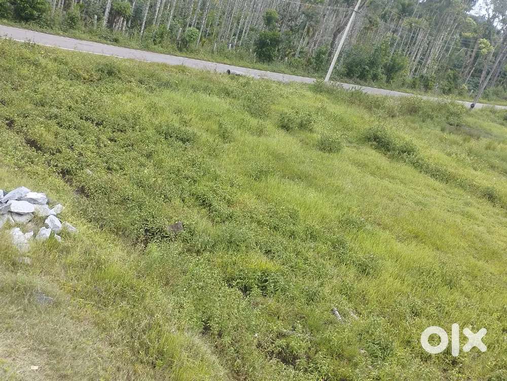 10 Cents residential Plots for sale - Virajpet Kodagu