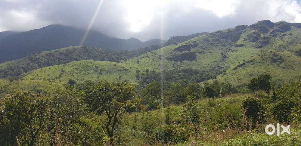 2 ACER LAND WITH SPICES AND STUNNING MOUNTAIN VIEW @SALE, WAYANAD