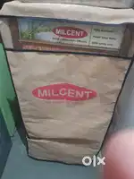 Milcent gharghanti
