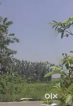 Commercial Land for sale 5500 sqft