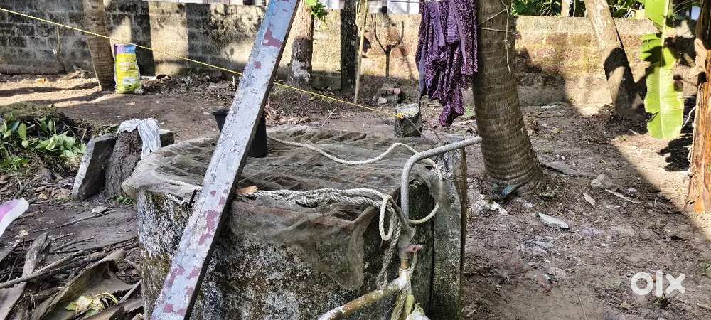 Plot for sale at Naduvattom 3.8 cent/ 5.45 lakh  per cent