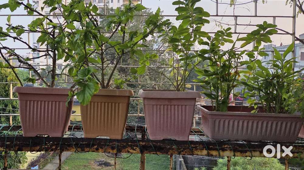 Set of 7 high quality plastic pots (गमला)