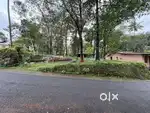 25 cent plot