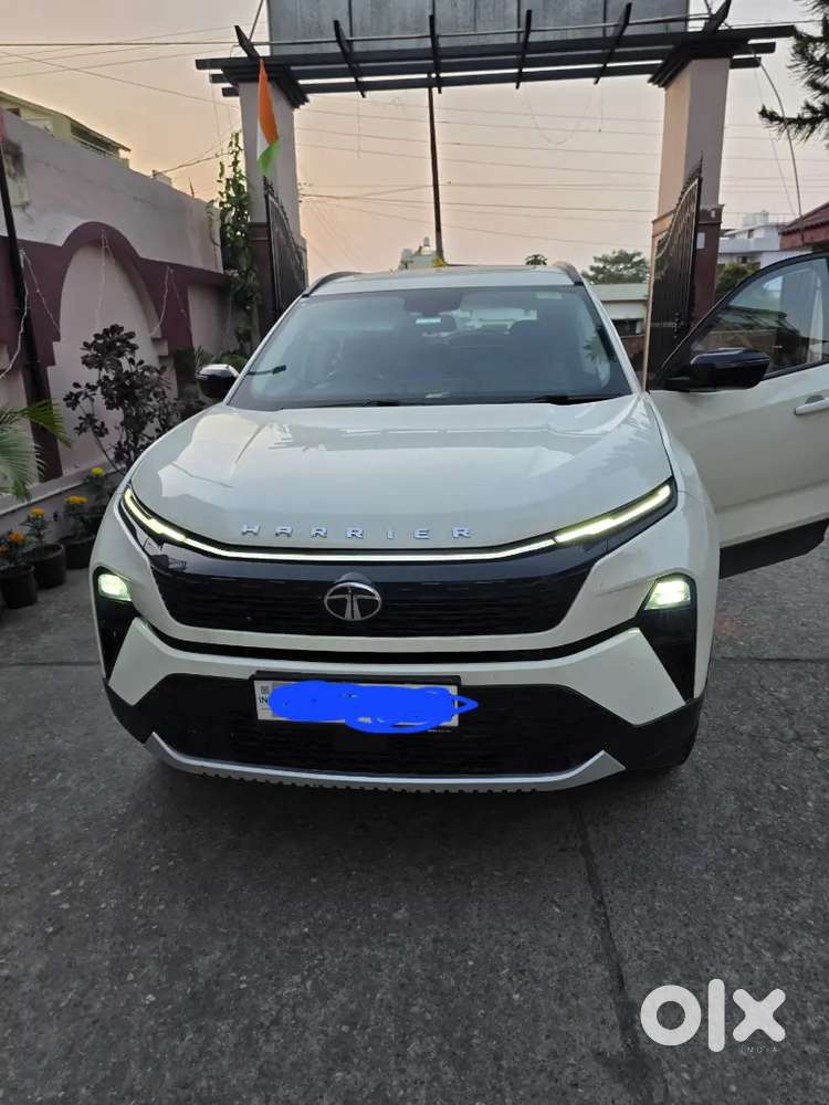 Mint condition Harrier 2024