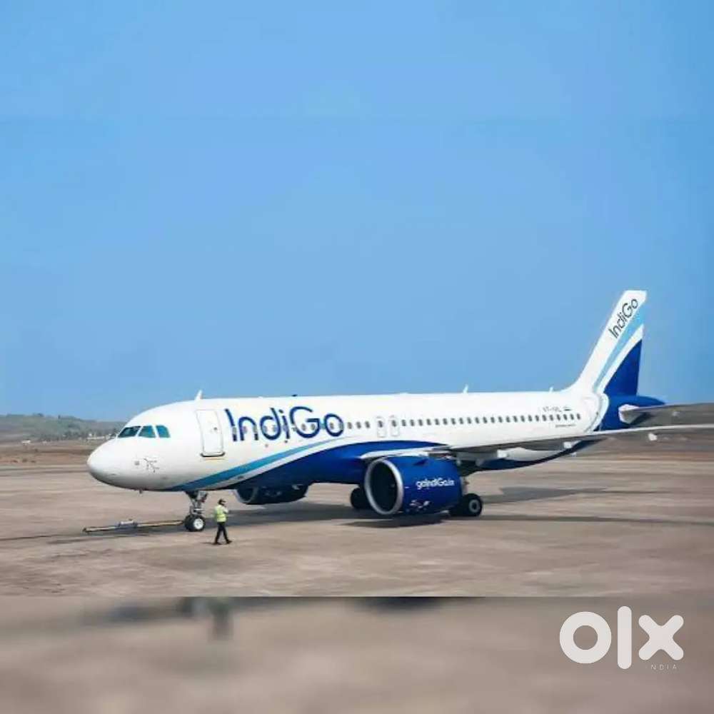 Urgent requirements for ticket counter job in Indigo airline Ahmadabad