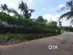 11cents residential Land for sale