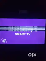 MITASHI TV(55 inch)