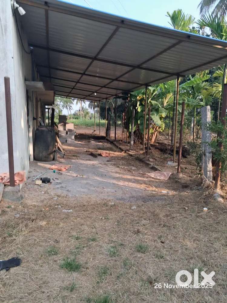 Helpers Family to work in the farm