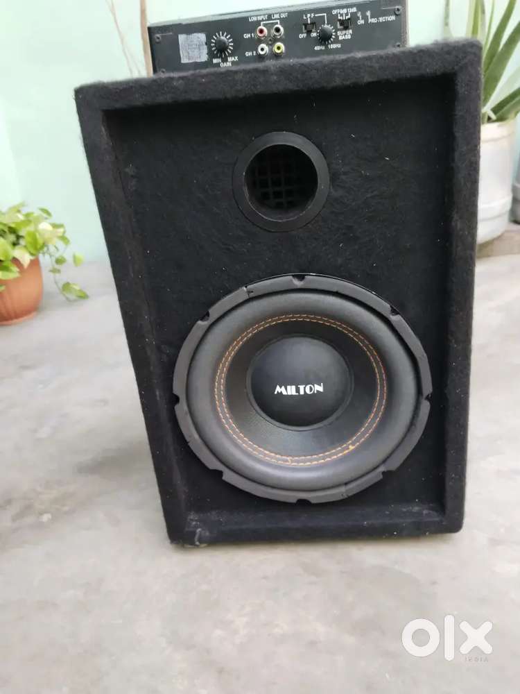 Subwoofer 10 inch