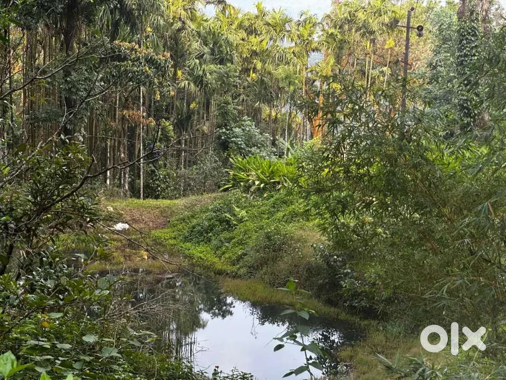 Scenic 16acre property overlooking tea estate and hills with waterpond