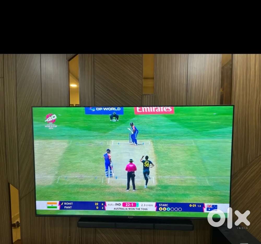 43 inch one year old