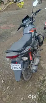 Shine sp 2017 model