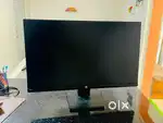 24” Monitor HP