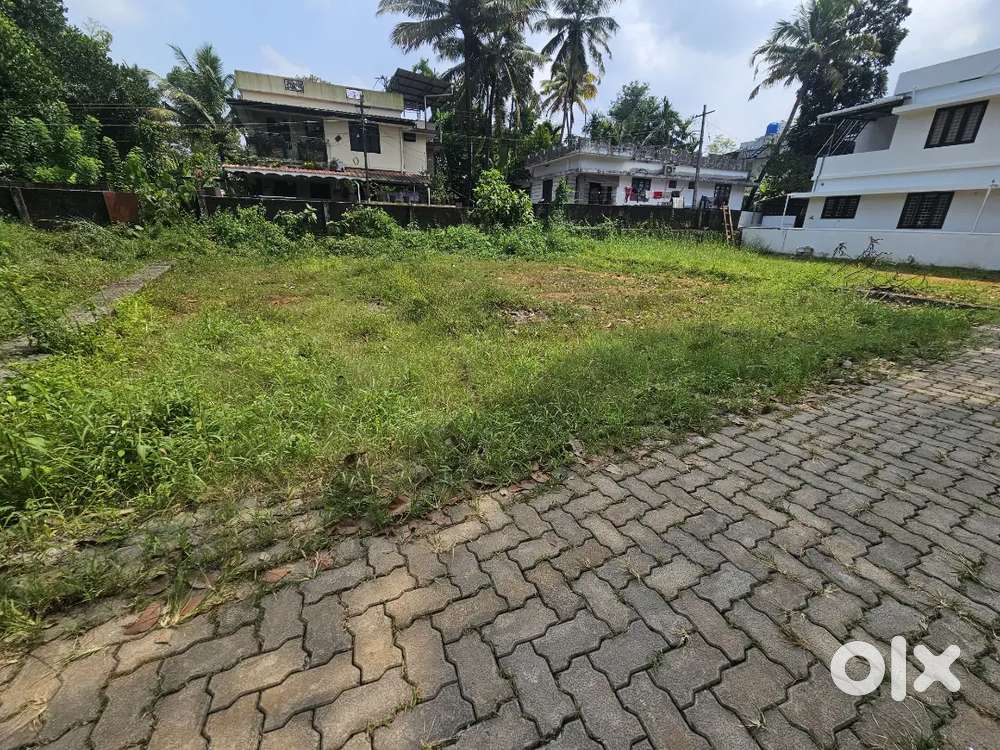 Aluva Rajagiri hospital 6cent land for sale