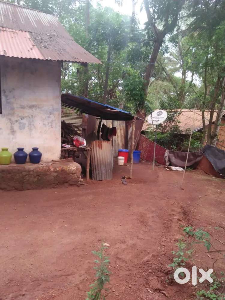 Near Attingal (Negotiable)