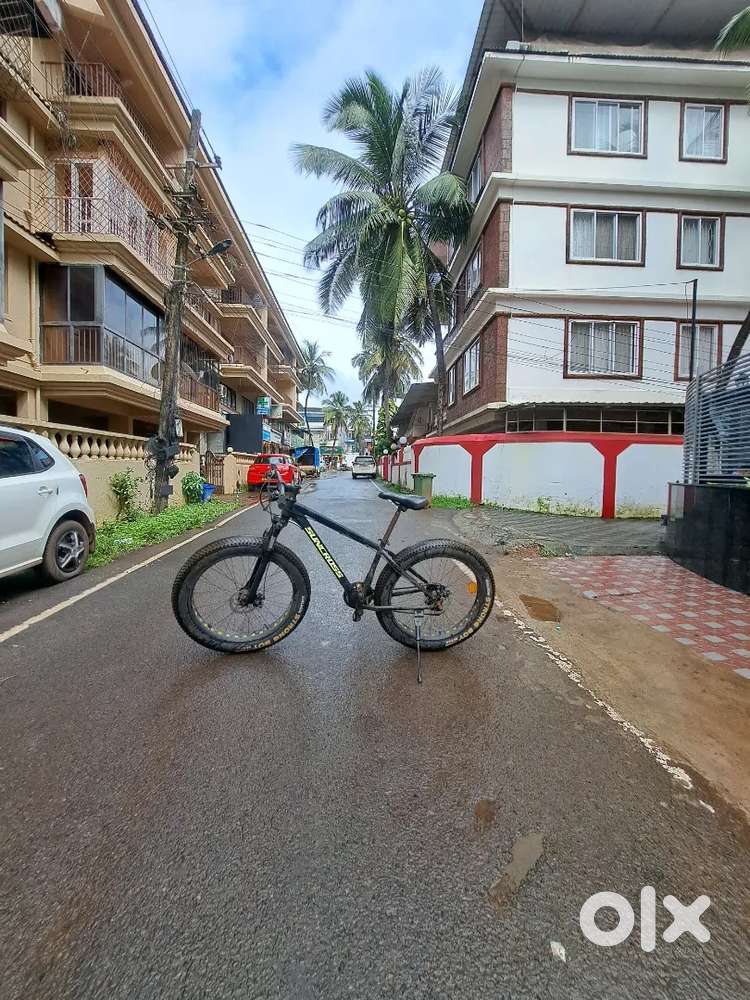 Suncross Megabike Fatbike