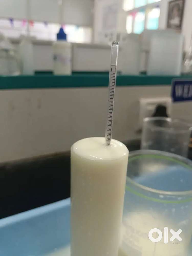 Milk, Curd, Paneer Production Operator