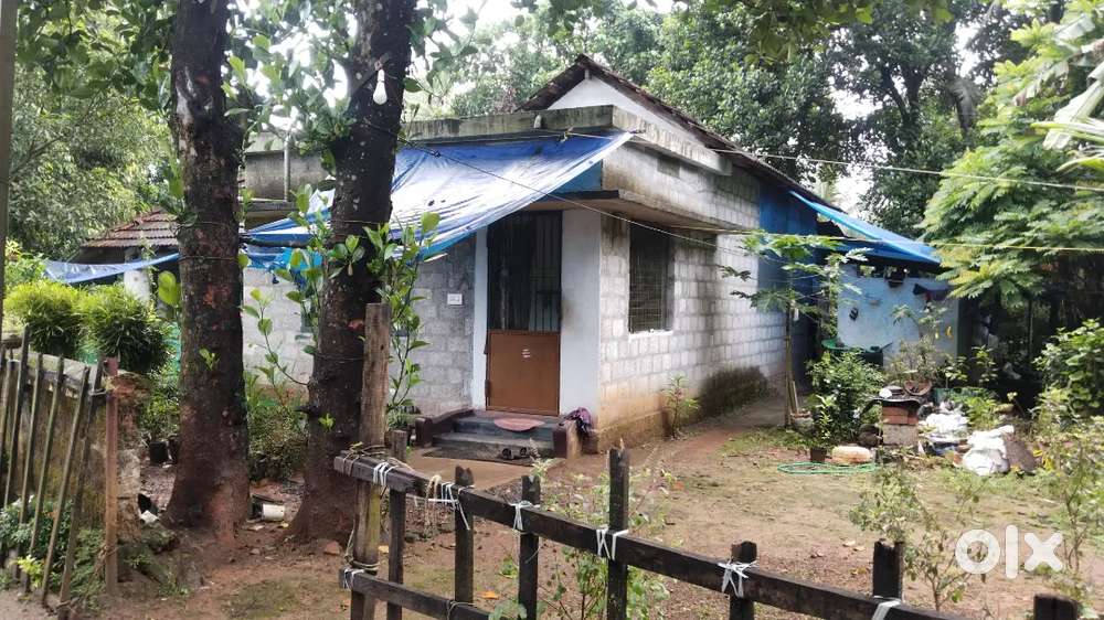 West-Facing Residential Plot with House for Sale in Ramanchira