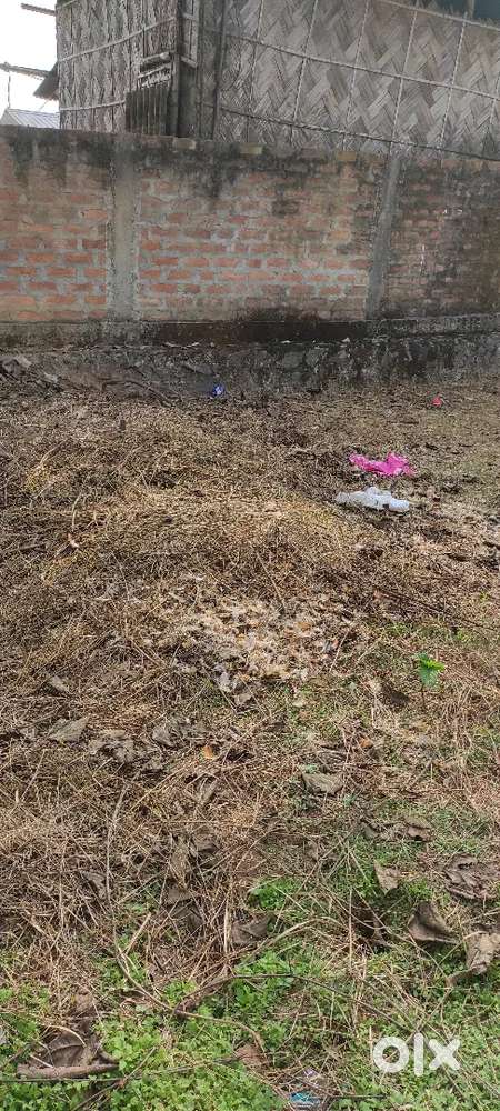 Eksonia land, dakshin Gaon, kargilpath, hill side,