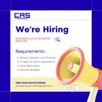 Sales Executive