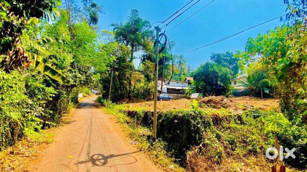 P-00785: Plot For Sale In Kottooli, Calicut