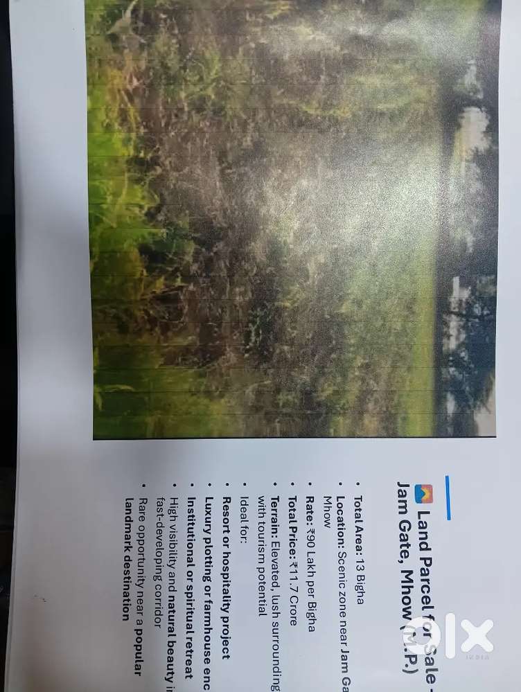 13 Bigha land for sale in Jam Gate, Mhow @90 Lakhs per Bigha