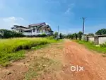 Aluva near rajagiri hospital 100metr 24cent plot cent 12lakh