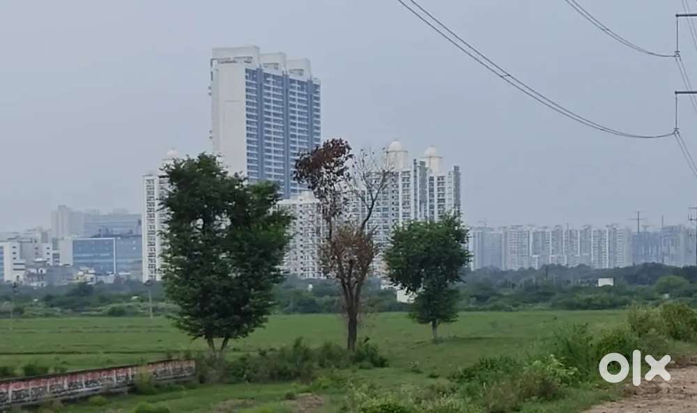 आपकी हकीकत''आपके अच्छे जगह पर घर से है निवेश करें Noida sec145 में
