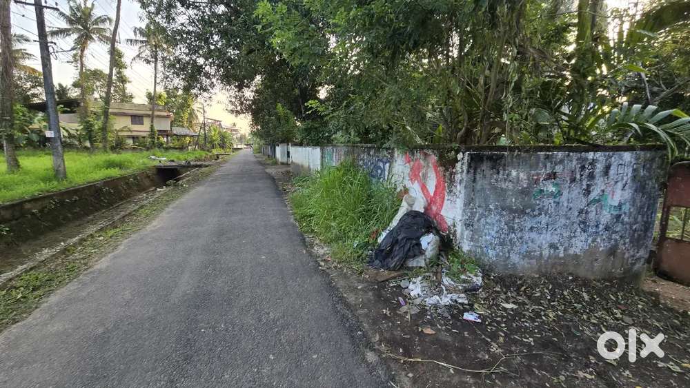 Aluva kadungalloor near petrol pump 15 cent house plot for sale